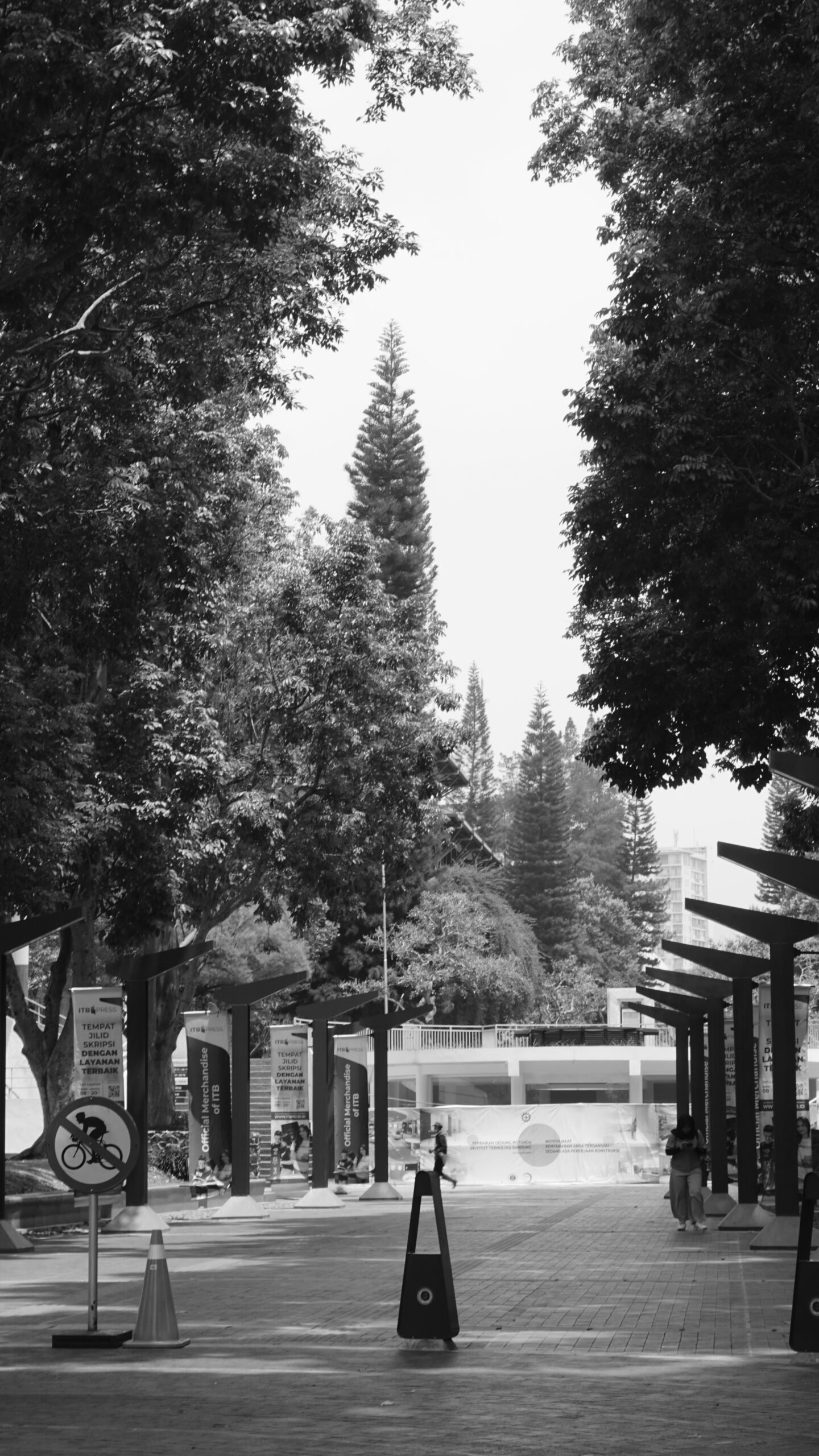 A black and white photo of a street with trees